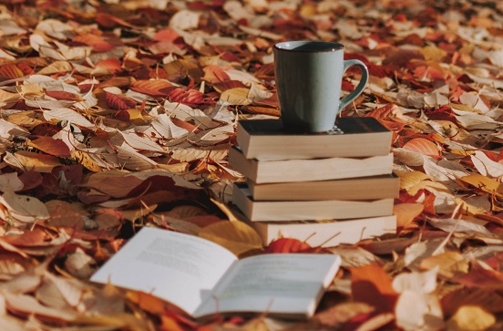 Stack of books surrounded by fall leaves 