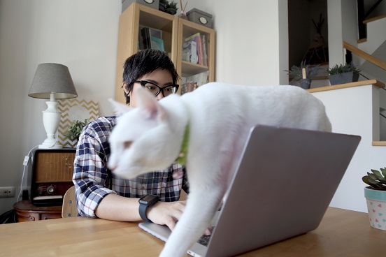 Cat Walking Across Laptop