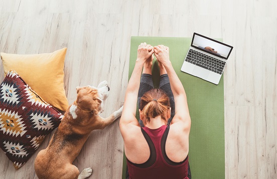 Stretch with laptop and dog
