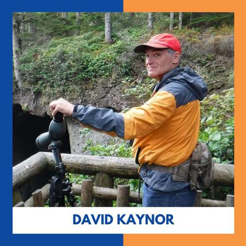 David Kaynor