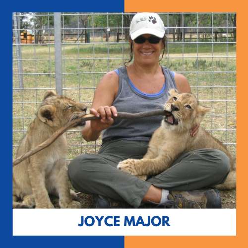 Joyce Major