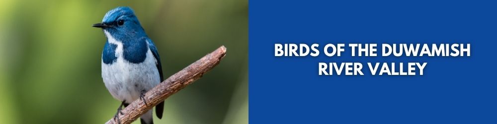 Bird watching class