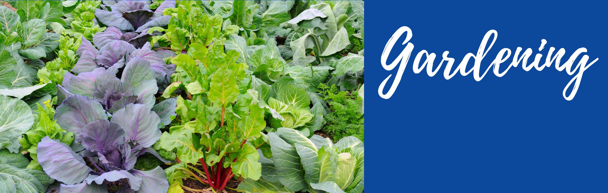 Learn to Garden!