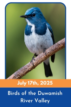 Birdwatching Birding Class